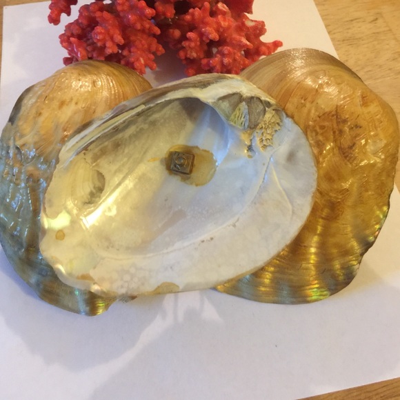 Collectable mop scale - Picture 4 of 4