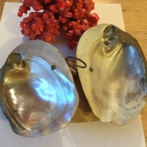 Collectable mop scale