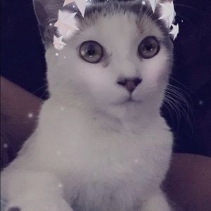 Meet your Posher, Ruby