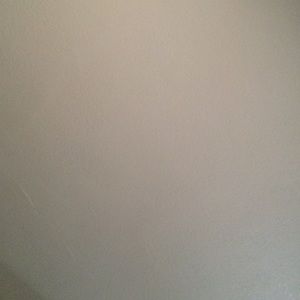 Meet your Posher, Lulu