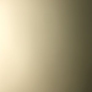 Meet your Posher, Ty