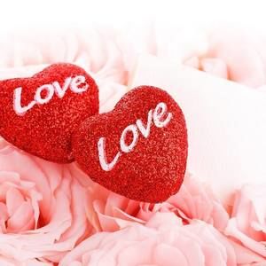 Meet your Posher, Elssie