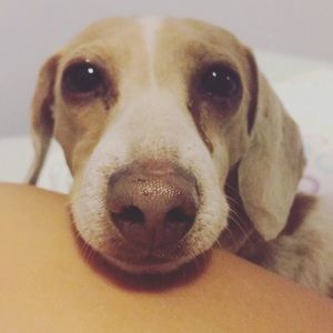 Meet your Posher, Cameron