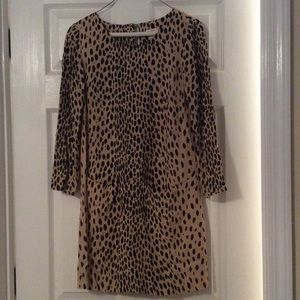 J.crew Jules dress in Wildcat