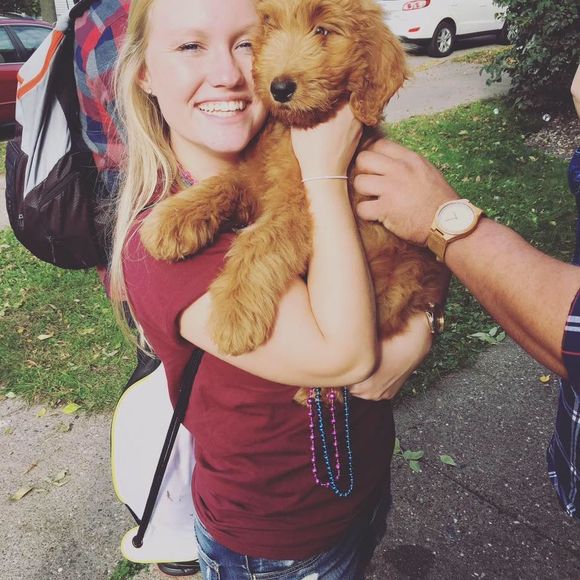 Meet your Posher, Rachel - Picture 1 of 1