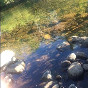 Meet your Posher, Gage