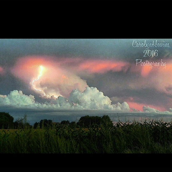 Meet your Posher, Tink - Picture 5 of 5