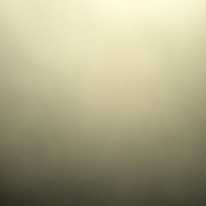 Meet your Posher, Joseline