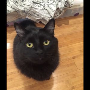 Meet your Posher, Nancy