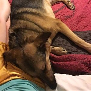 Meet your Posher, Rachel