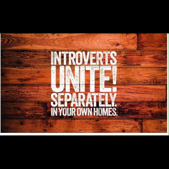 Meet your Posher, Liz - Picture 3 of 3