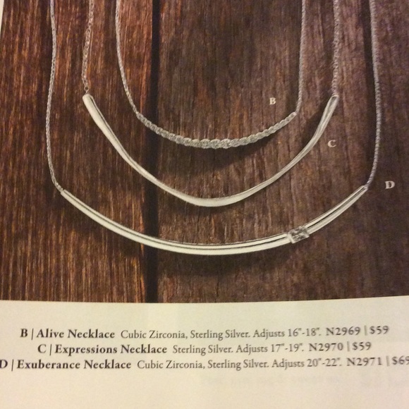 Exuberance Necklace - Picture 2 of 2