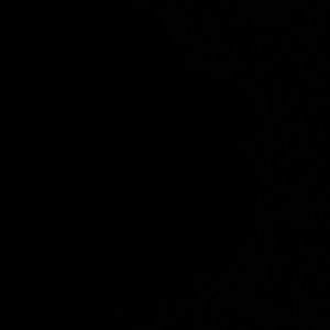 Meet your Posher, Gabriel