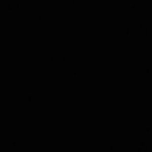 Meet your Posher, Digna