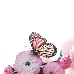 Meet your Posher, Odalys