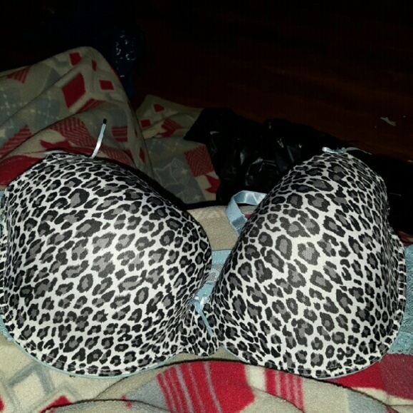 Blue Leopard bra with lace detail