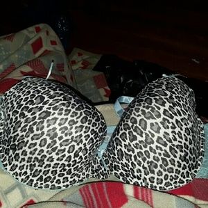 Blue Leopard bra with lace detail