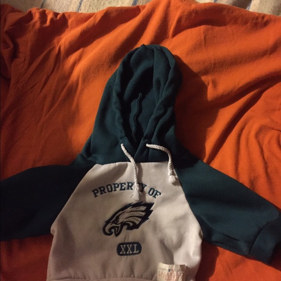 Tiny Eagles sweatshirt for a pet or stuffed animal
