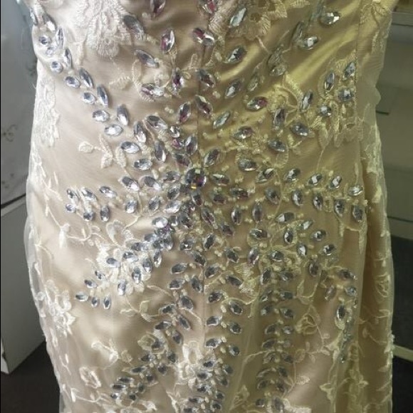 Chantilly wedding gown - Picture 3 of 4