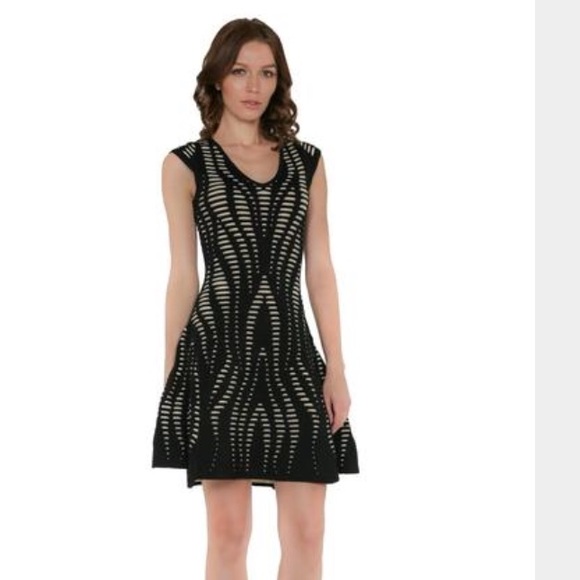 So cute Black & Nude Textured Skater Dress