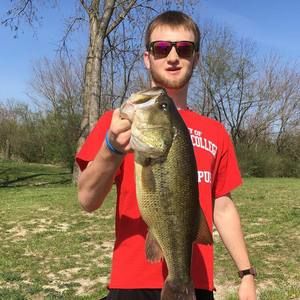 Meet your Posher, Sam