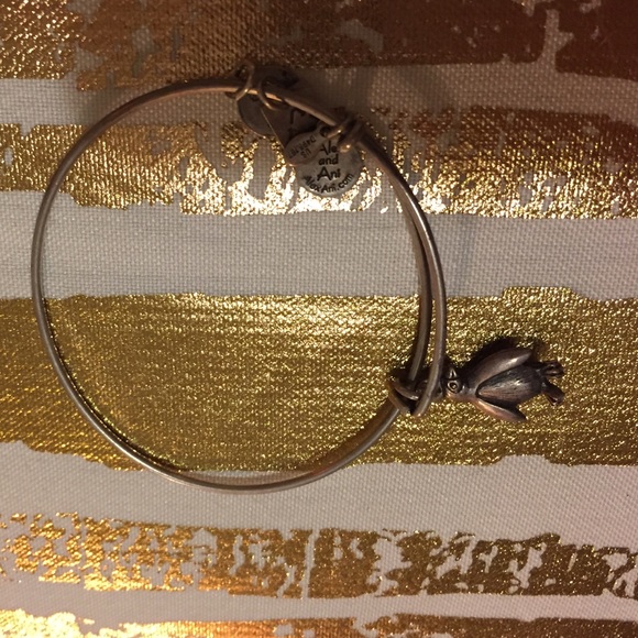 Alex and Ani