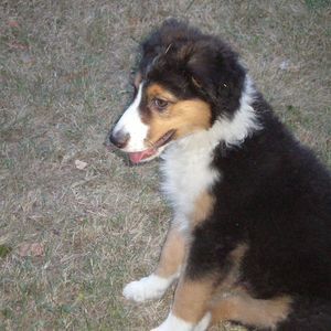 Meet your Posher, Pamela