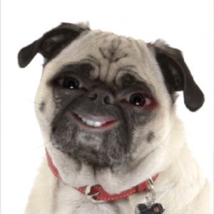 Meet your Posher, Lynda