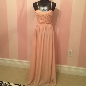 Blush Maxi Rose Dress