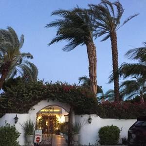 Meet your Posher, Jolene