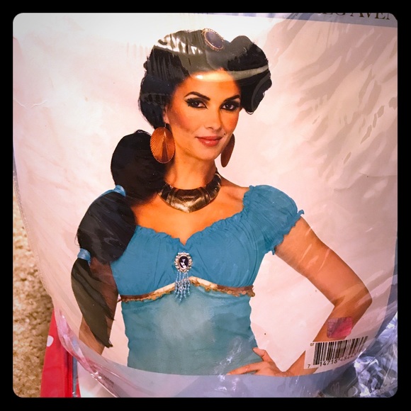 Disney's jasmine wig