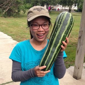 Meet your Posher, Hoà