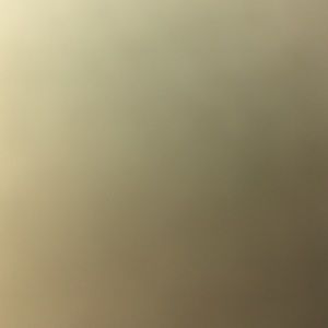 Meet your Posher, Zoe