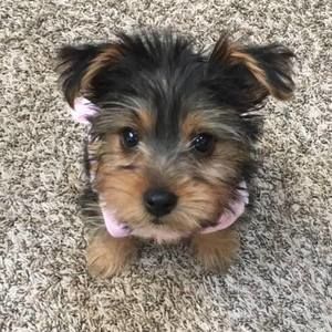 Meet your Posher, Kimberly