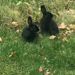 Meet your Posher, Kiersten