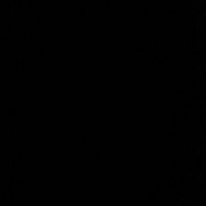 Meet your Posher, Sofia