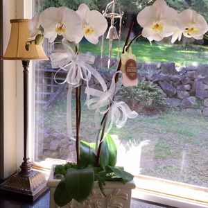 Meet your Posher, Paula