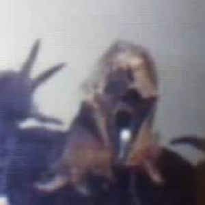 Meet your Posher, Chad