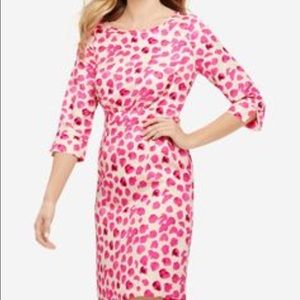 NWT The Limited Dress