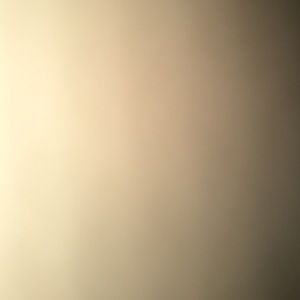 Meet your Posher, Kelcy