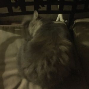 Meet your Posher, Mimi