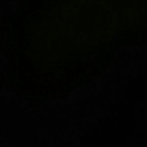 Meet your Posher, Rosie