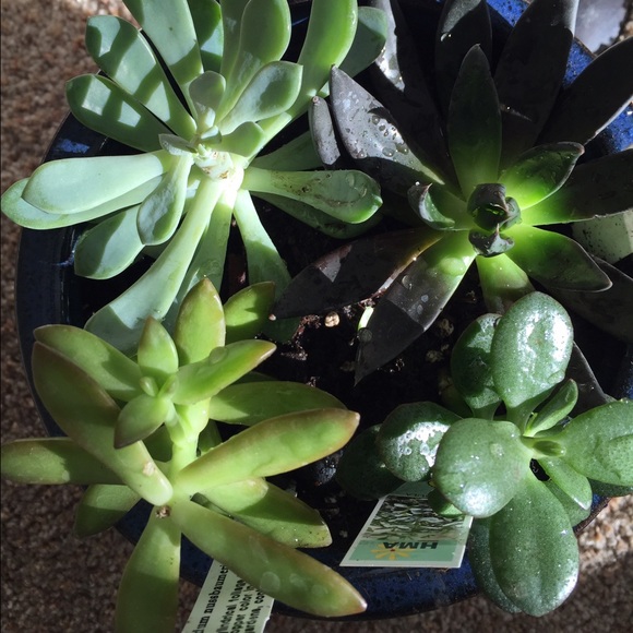 ‼️JUST DID PRICE DROPS ON ALL MY ITEMS‼️