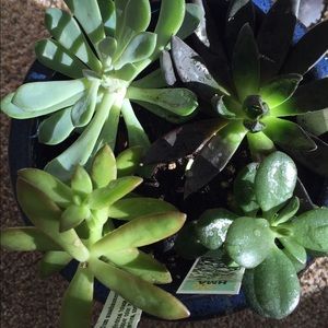 ‼️JUST DID PRICE DROPS ON ALL MY ITEMS‼️