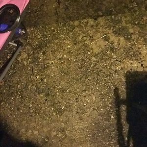 Meet your Posher, Trinity