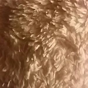 Meet your Posher, Chasity