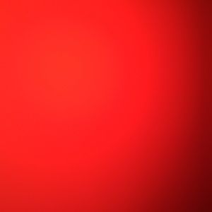 Meet your Posher, Ashlie