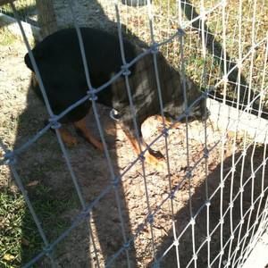 Meet your Posher, Huber