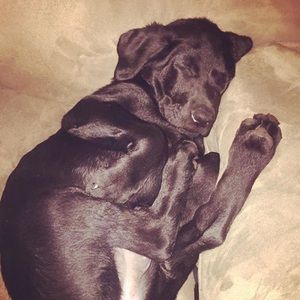 Meet your Posher, Caleb