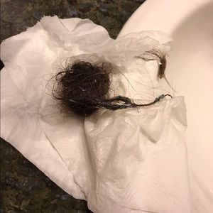 Meet your Posher, Abigail